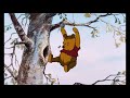 Winnie The Pooh Little Black Rain Cloud Instrumental HQ Stereo
