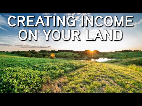 How To Make Money On Your Land | Cash Rent, Tillable, CRP, Timber Harvest