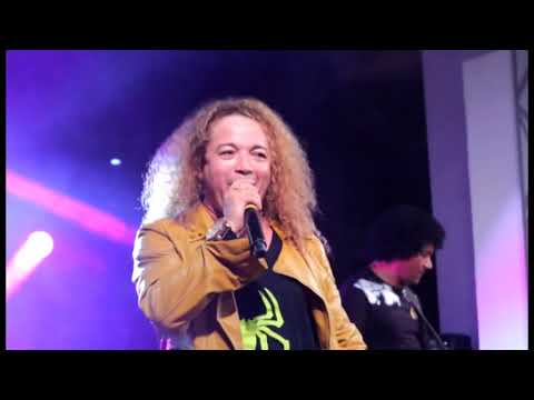 WANDERLEY ANDRADE - SULTANS OF SWING (cover)