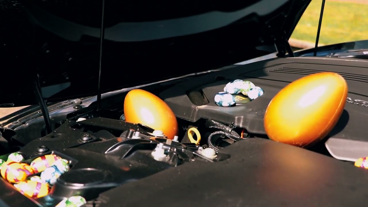 Paasvideo Knook Breda