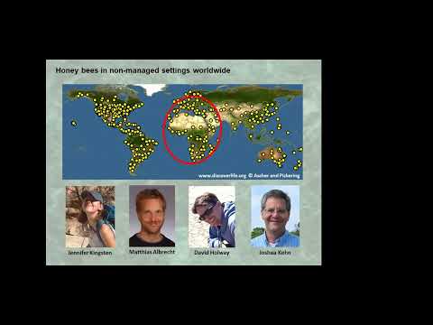 Global and Local Ecology of Honey Bees - YouTube