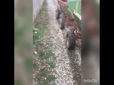 caii lui bobok ..cepari