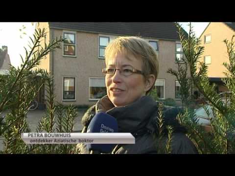 GLD Nieuws 17 november 2012 - Nieuws