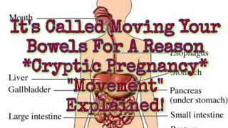 It&#39;s Called Moving Your Bowels For a Reason-Cryptic Pregnancy &#39;Movement&quot; Explained!