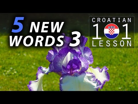 016 📚 5 New Words (Part 3) 🇭🇷 Croatian Language 101 - Learn Croatian