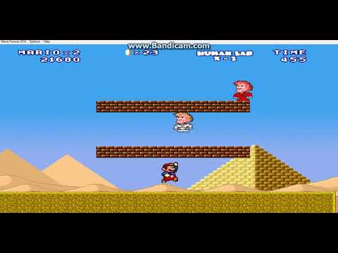 Mario Forever Human Lab X