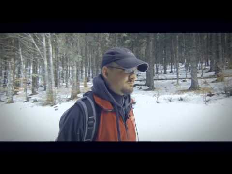 Angst im Wald - Warum mach ich das eigentlich
