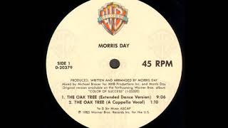 The Oak Tree (Extended Dance Version) - Morris Day
