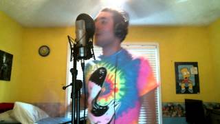 The Devil In My Bloodstream - The Wonder Years (Cover)