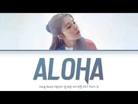 Eunji (APINK) - Aloha (Cover) (은지 - 아로하 슬기로운 의사생활 OST Part 3)(Color Coded Lyrics Han/Rom/Eng/가사)