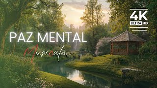 O Bom Remédio Para Ansiedade | Música Para Dormir e Relaxar (4k)