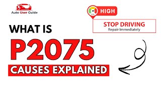 Meaning of OBD p2075