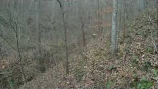 preview picture of video 'Dirt bike trail ride East Lynn Wv 11-13-11 single track 2 of 16'