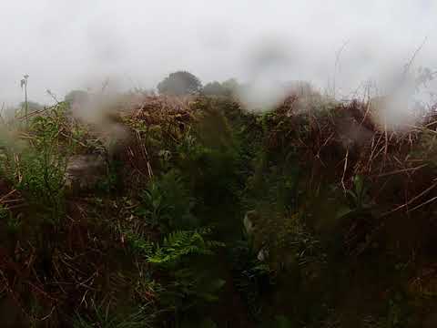 Creepy Lane in the rain