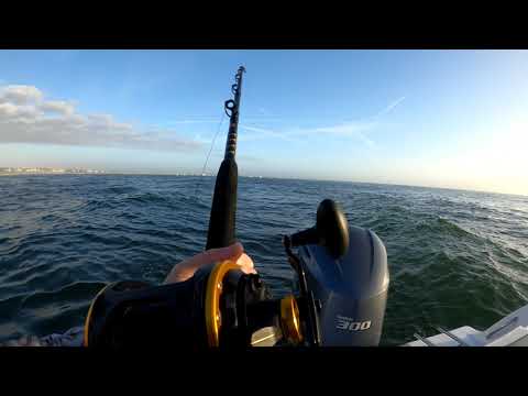 Striped Bass In New Jersey 11/5/2022