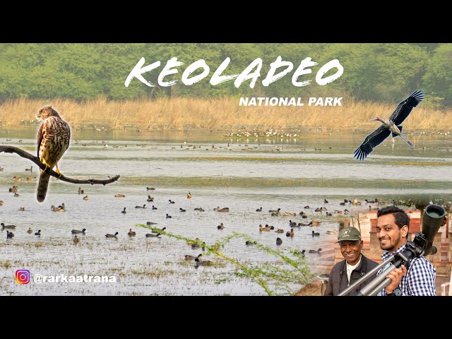 Προφορά βίντεο BHARATPUR στο Αγγλικά