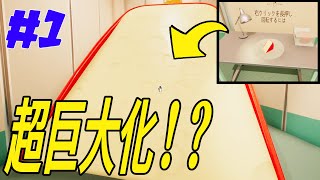 最強天才眉目秀麗おとこは目が弱いpart1【superliminal】