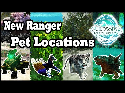 Ranger Pet Locations in End of Dragons - Guild Wars 2 Mini-Guide