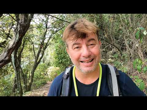 Hiking Tellaro to Bocca di Magra via Montemarcello, in Liguria (4th Walk)  #walking #hiking