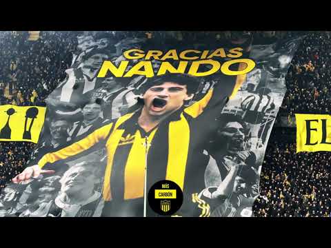 "RECIBIMIENTO HINCHADA DE PEÑAROL | Homenaje a Morena | Copa Libertadores 2026 | vs Corinthians" Barra: Barra Amsterdam &bull; Club: Peñarol &bull; País: Uruguay