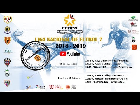 Disport FC - Hércules Paralímpico. Liga Nacional de Futbol 7