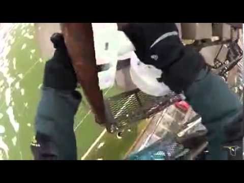 Behind the Scenes look at the Cornell Lab of Ornithology Hawk Cam