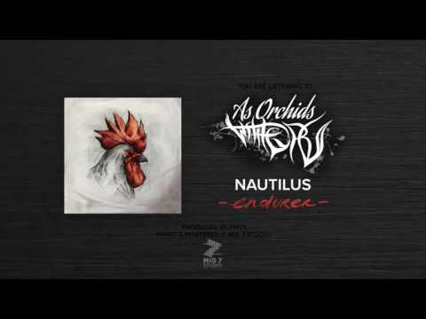 As Orchids Wither - Nautilus (Official Audio)