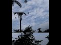 Nature Love Song Covered By Mr Singhania Long Drive Song Akshay Kumar Song