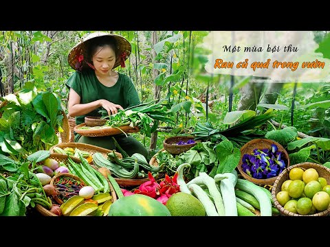 , title : 'Cô Gái Bỏ Phố Về Quê Thu Hoạch Rau Củ Quả Trong Vườn Bội Thu | Harvest Vegetables |Quy Ẩn Điền Viên'