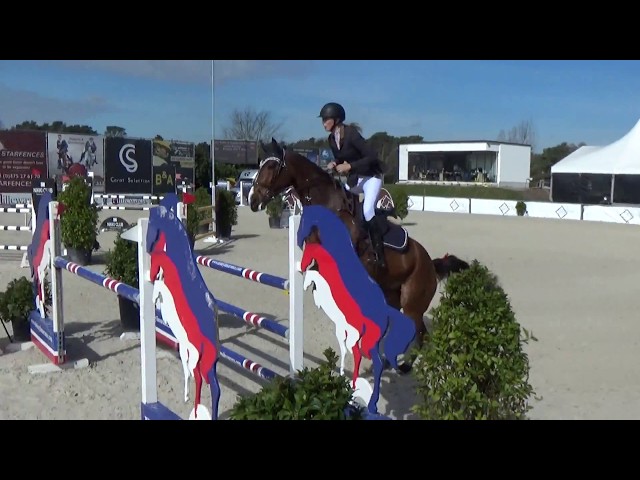 Mother of this Implanted Embryo is the CSI 1.35m jumping mare Korona van't Hoogeinde.