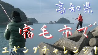高知県、宿毛市でエギングチャレンジ！