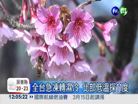全台急凍濕冷 氣溫溜滑梯降12度