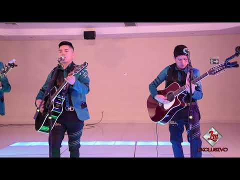 Union Sierreña - Dueña De Mi Alma (En Vivo 2019)