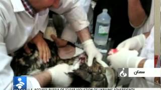 preview picture of video 'Iran Semnan province, Eagle surgery جراحي بال عقاب شاهي در ايران سمنان'