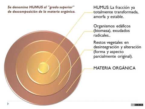 ABONOS ORGÁNICOS: Importancia de incorporar materia orgánica