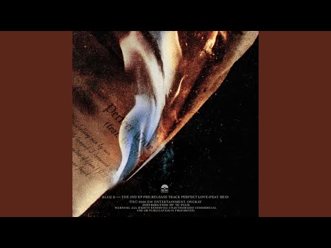 Perfect Love (feat. BE’O)