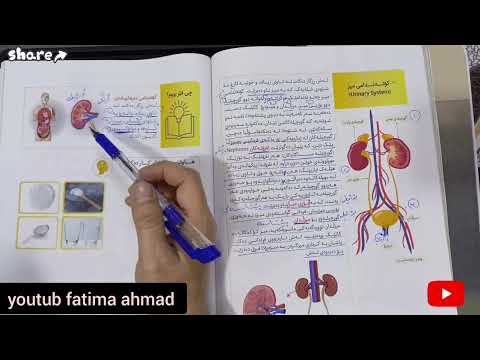 زانست پۆل٥/ل١٢٠--١٢١
