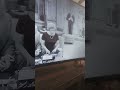 Dick Van Dyke Intro