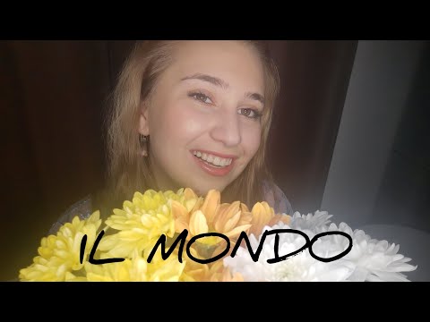 Ilinca Din- Il Mondo | Cover Il Volo