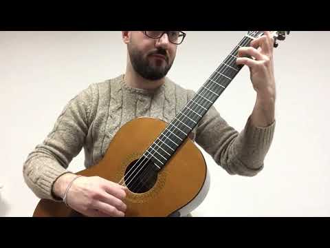 Etude n.2 op. 60 (Tutorial) Matteo Carcassi- Emanuele Monti guitar