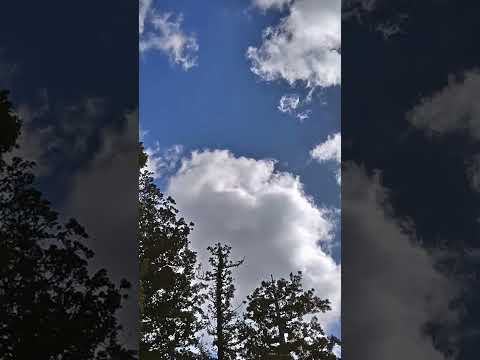 Sacred Sky at Ise Jingu Geku - YouTube Short