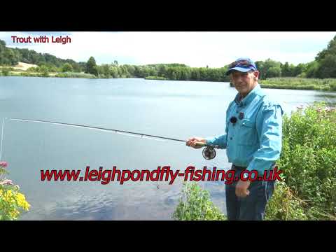 Fishing the Blue flash Damsel