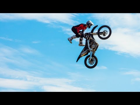 [FREE] Dante Rose, Whoisrune - Roses