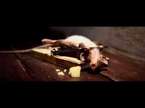 Mouse Trap - Cheese Advertisement