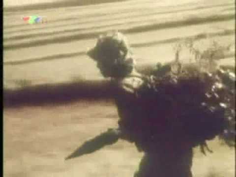 Giải phóng Miền Nam (Liberate the South)