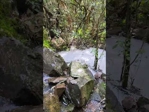 Hermosos paisajes de Aguas Blancas Lavalleja 🇺🇾🇺🇾🇺🇾❤️