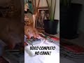 QUEM É ESSA PESSOA VC VAI CONFIRMAR AGORA COM INICIAIS DA O TRAÍRA Estrelaindia