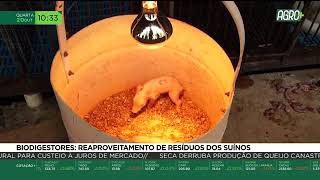 Miniatura do vídeo