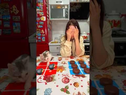 Бум челлендж с моим котом 🐈