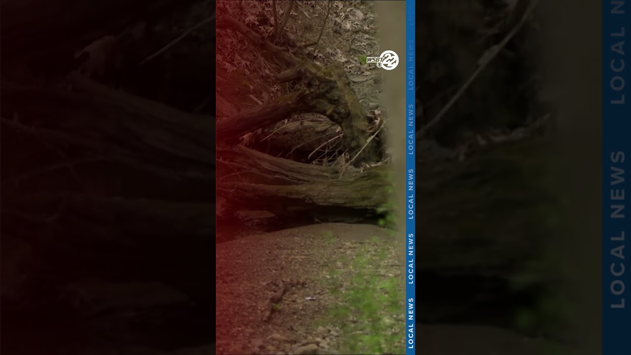 What will Portage Manor become in the future?